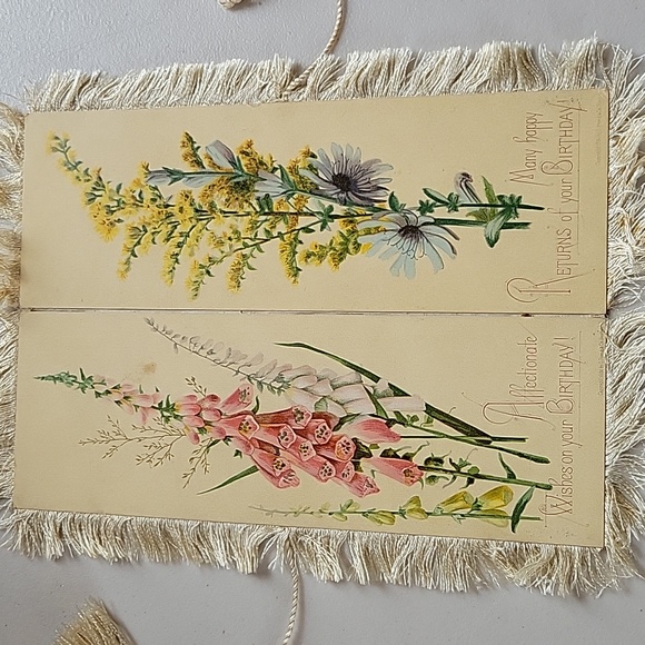 Antique Chromolithograph L. Prang & Co. 1880 Silk Fringe Birthday Card - Picture 9 of 11